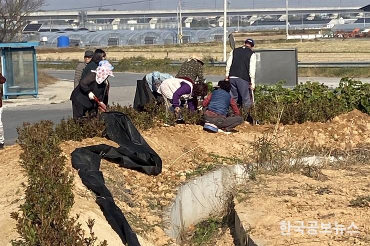 기사 사진