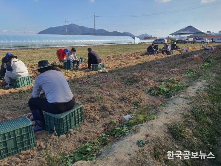 기사 사진