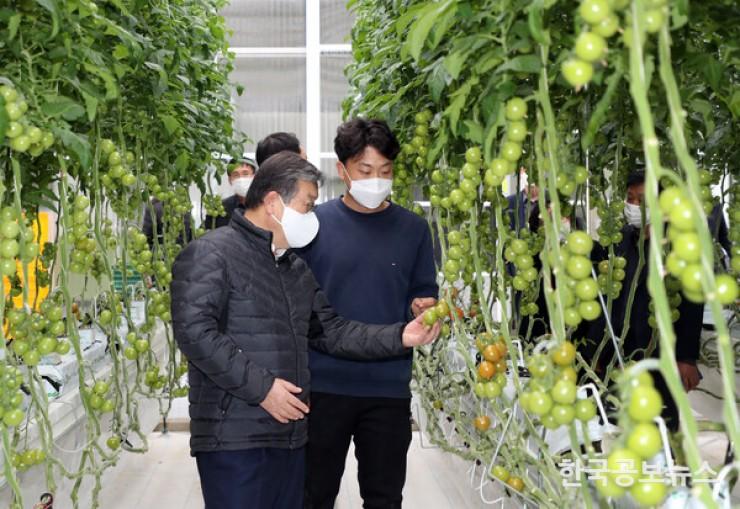 기사 사진