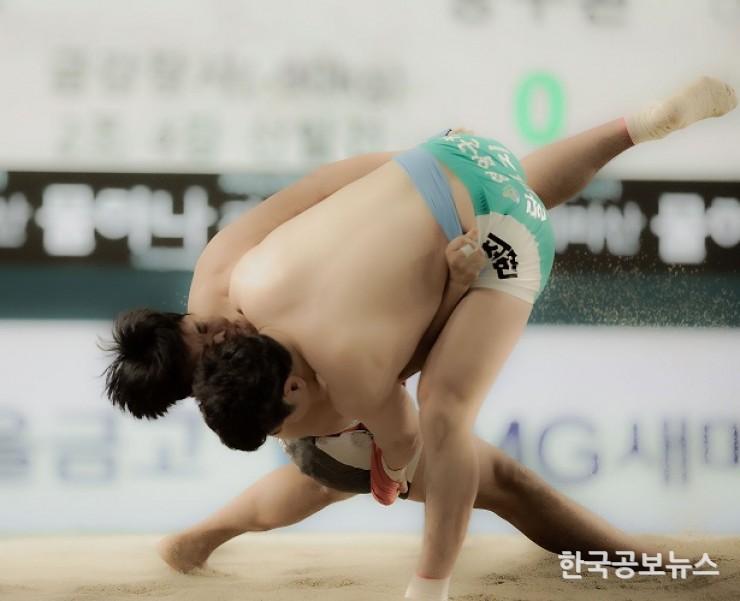 기사 사진