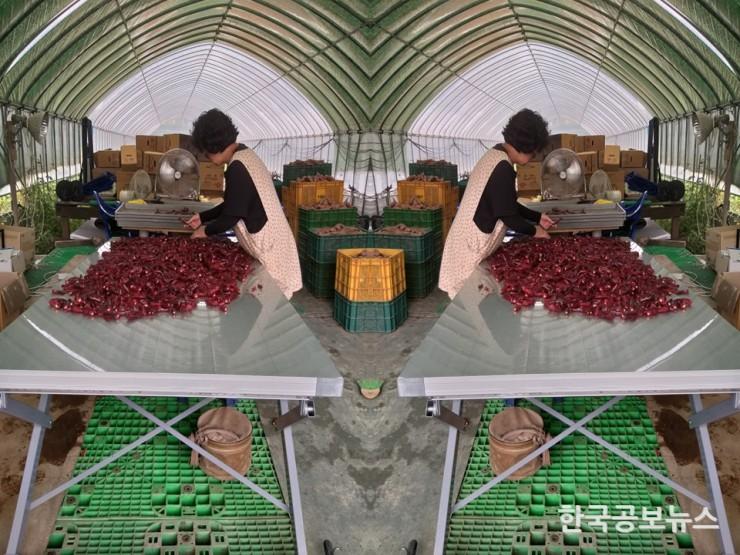 기사 사진