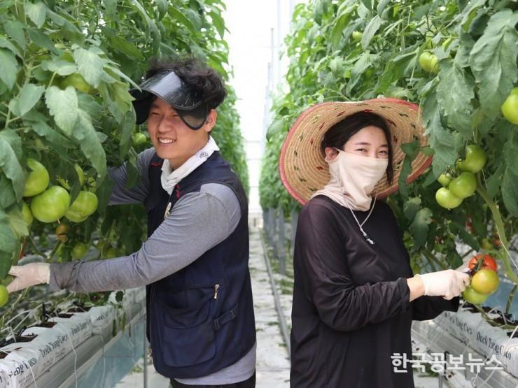 기사 사진