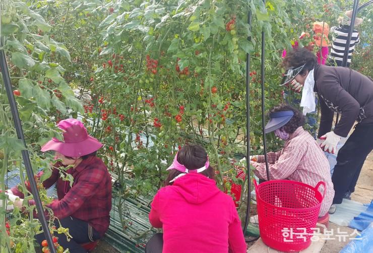 기사 사진