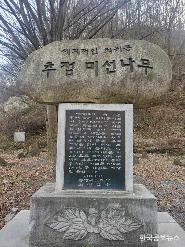 기사이미지 https://kpnnews.cdn.ntruss.com/202406200440261718869226421