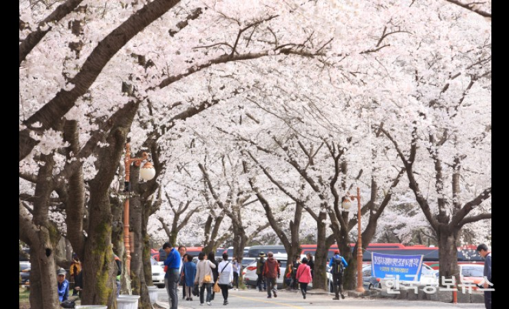 기사이미지 https://kpnnews.cdn.ntruss.com/202406200550001718873400734