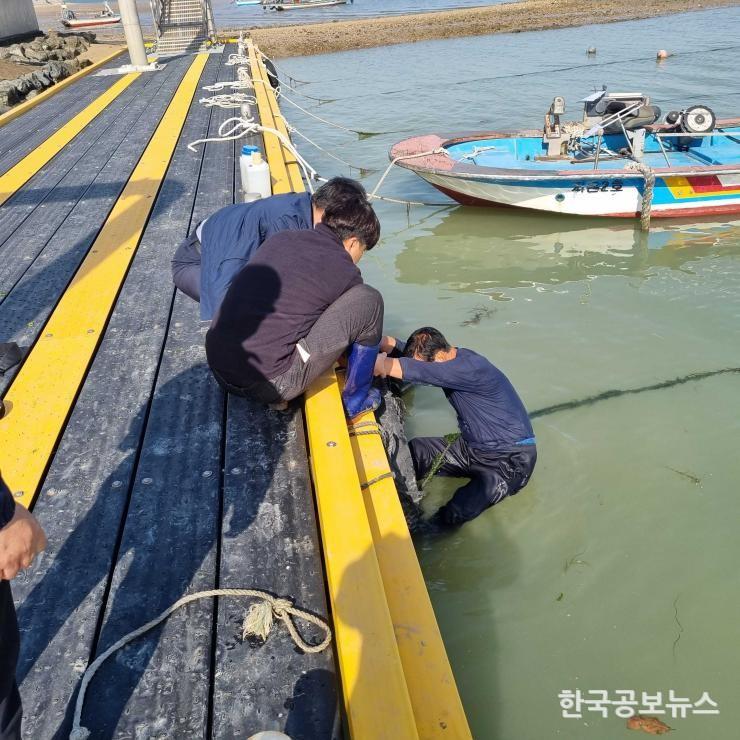 기사 사진