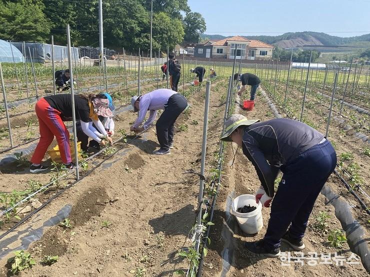 기사 사진