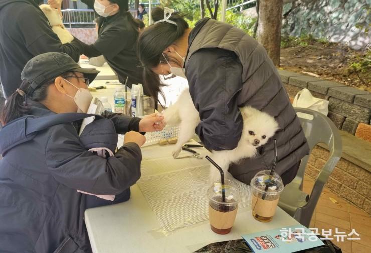 기사 사진