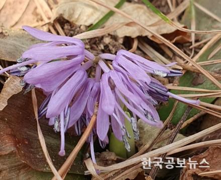 기사이미지 https://kpnnews.cdn.ntruss.com/202406201155561718852156535