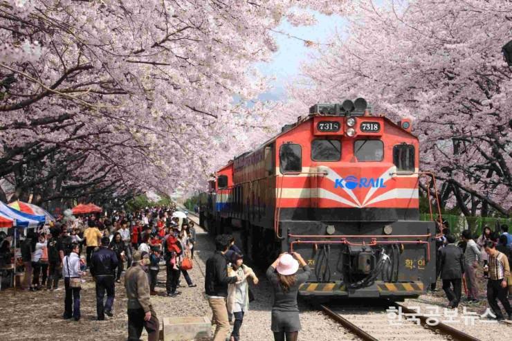 기사이미지 https://kpnnews.cdn.ntruss.com/202406201214131718853253123