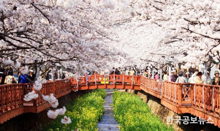 기사이미지 https://kpnnews.cdn.ntruss.com/202406201214131718853253512
