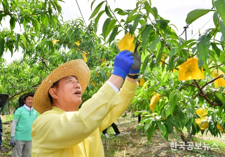 기사 사진