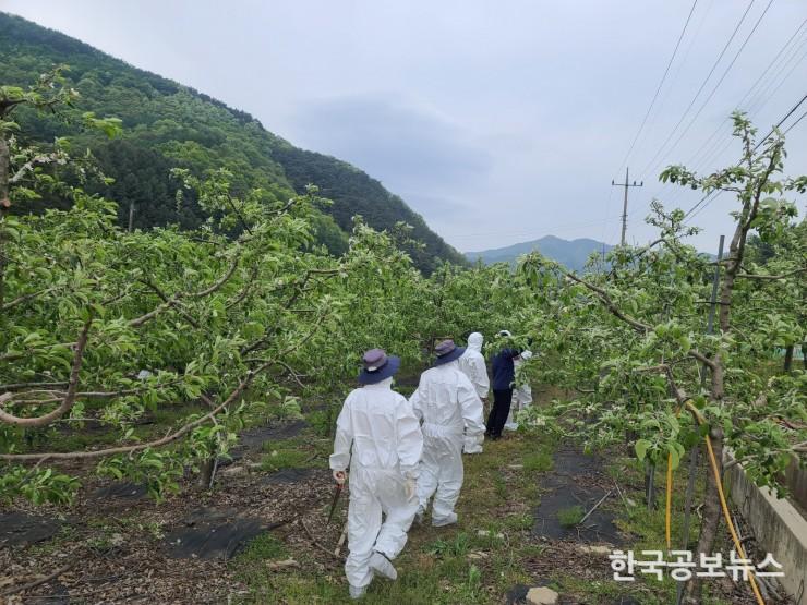 기사 사진