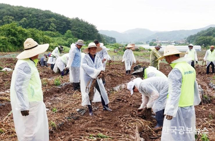 기사 사진