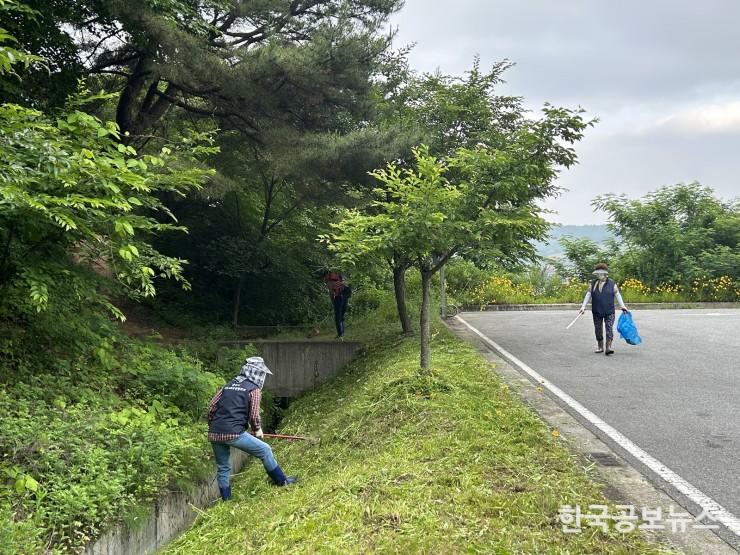 기사이미지 https://kpnnews.cdn.ntruss.com/202406210236561718948216641