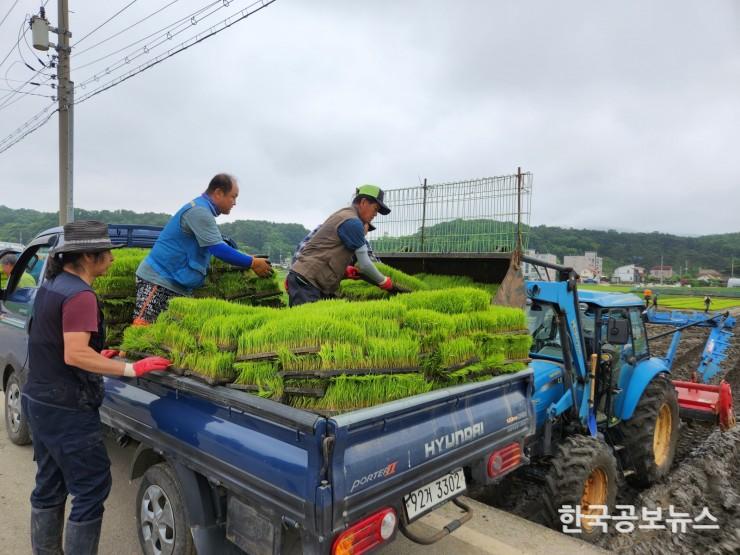 기사 사진