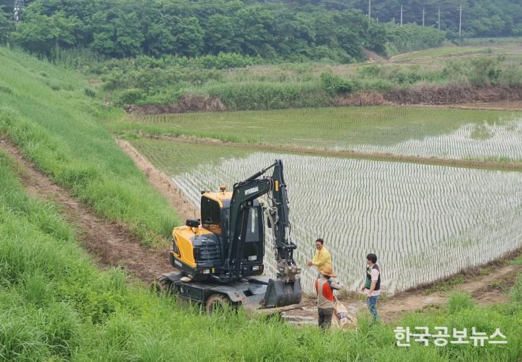 기사 사진