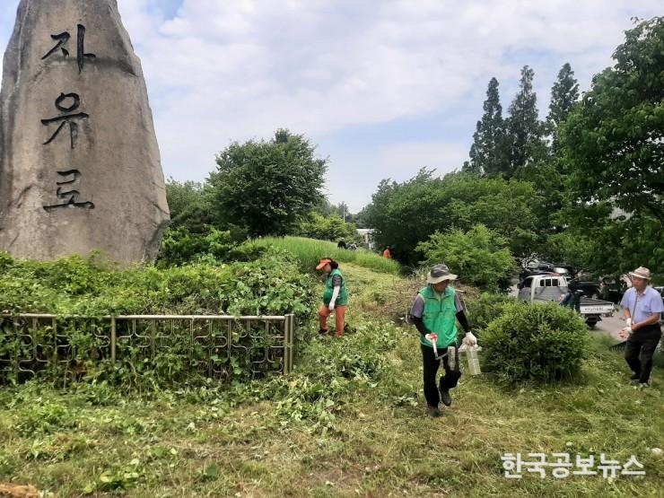 기사 사진