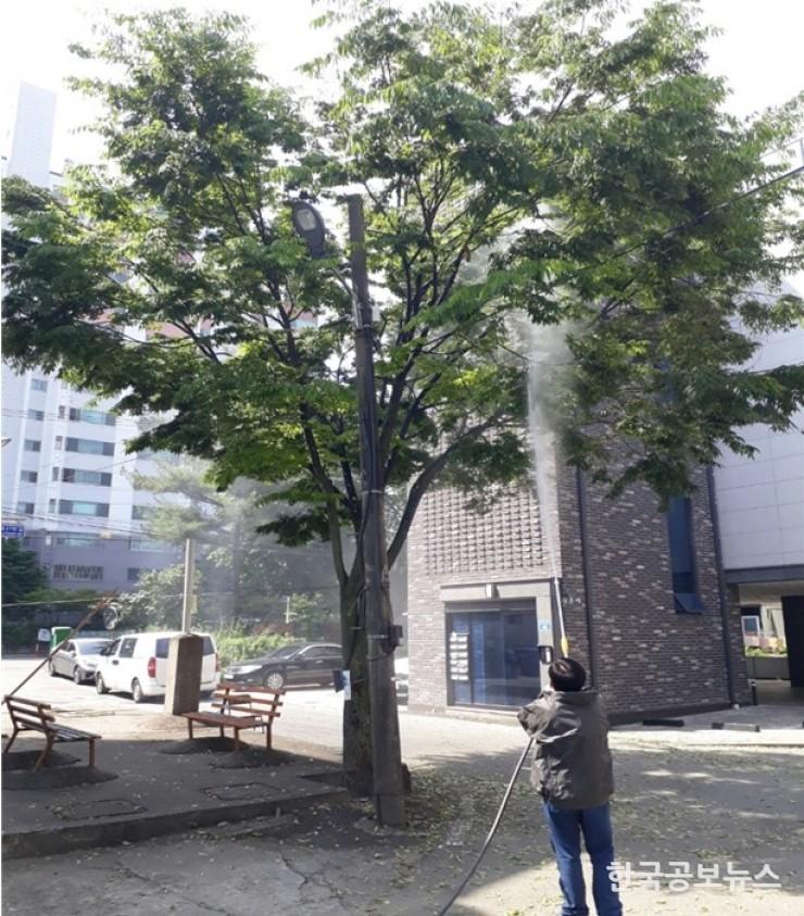 기사 사진