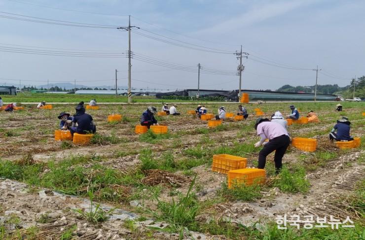 기사 사진
