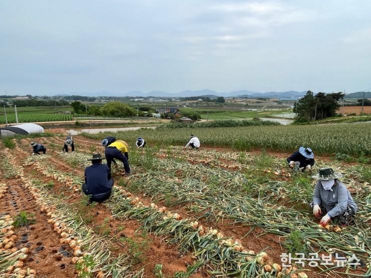 기사 사진