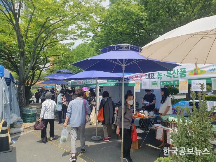 기사 사진
