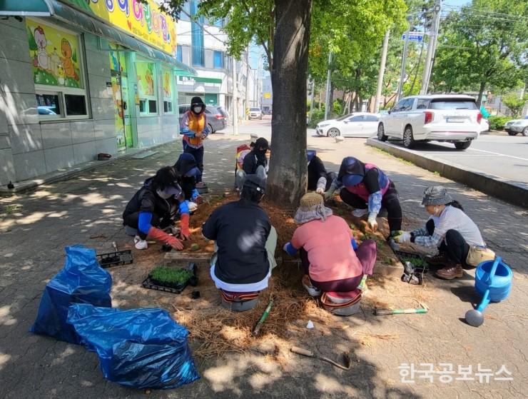 기사 사진