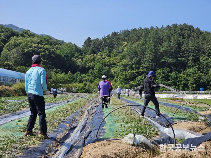 기사 사진