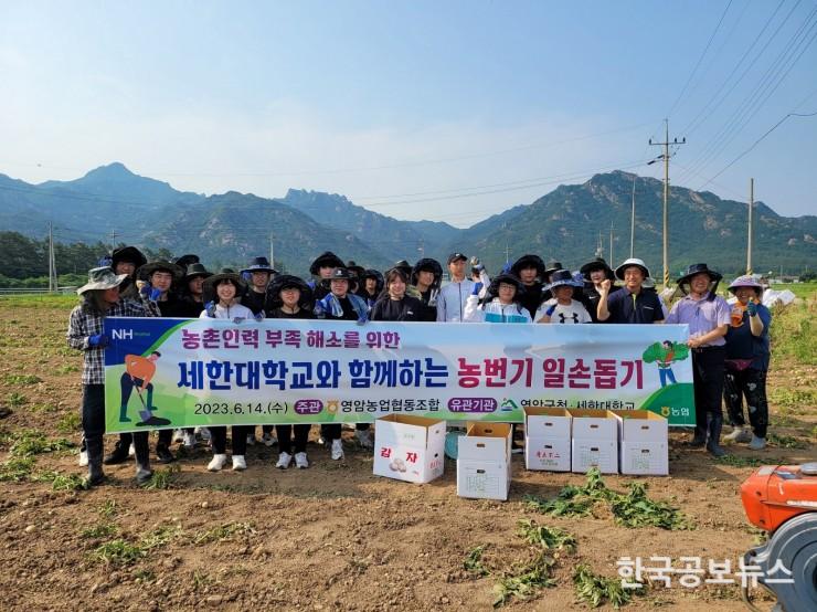 기사 사진