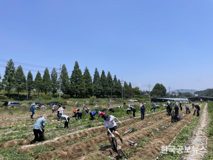 기사 사진