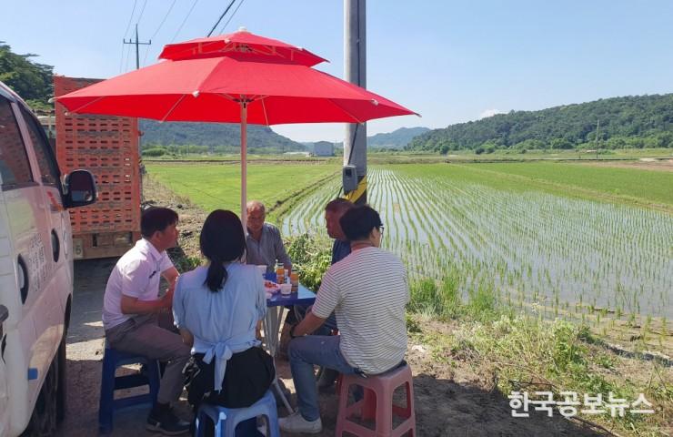 기사 사진