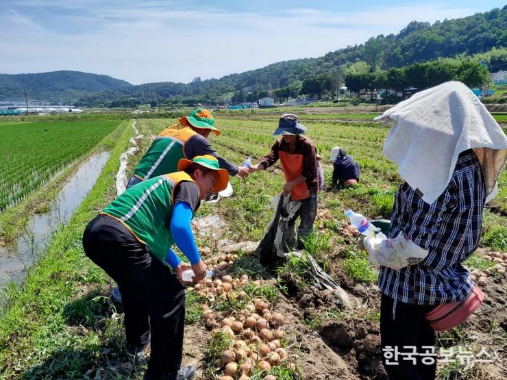 기사 사진