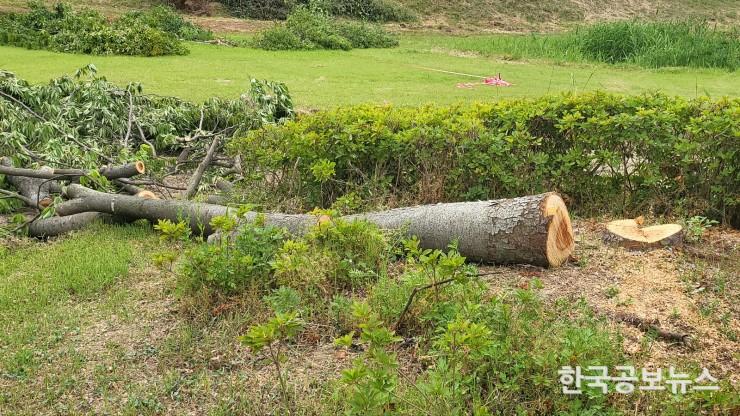 기사이미지 https://kpnnews.cdn.ntruss.com/202406210704521718964292818