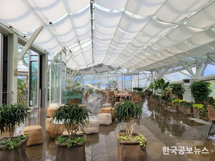 기사이미지 https://kpnnews.cdn.ntruss.com/202406210705491718921149388