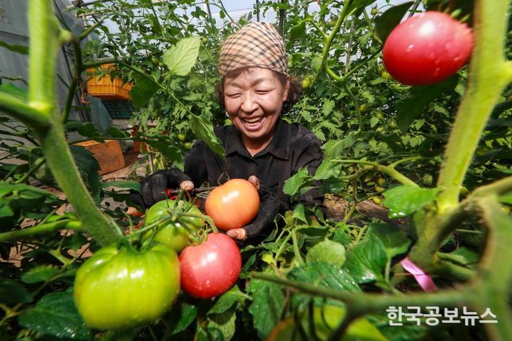 기사 사진