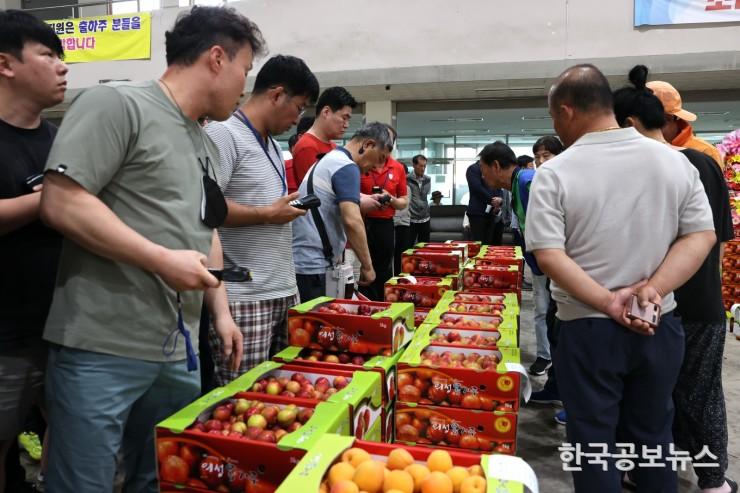 기사 사진