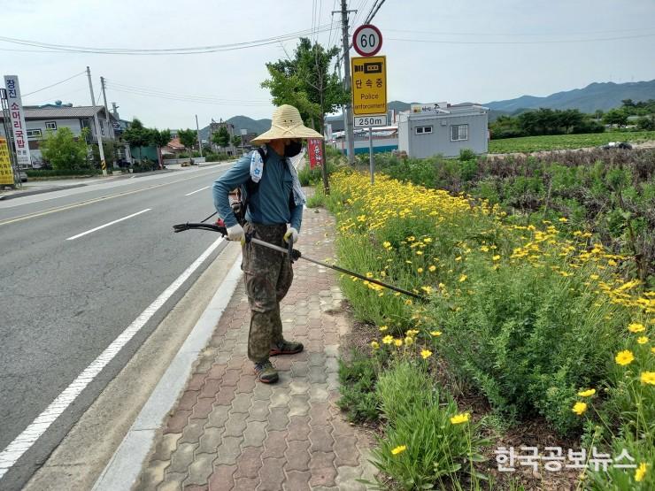 기사 사진