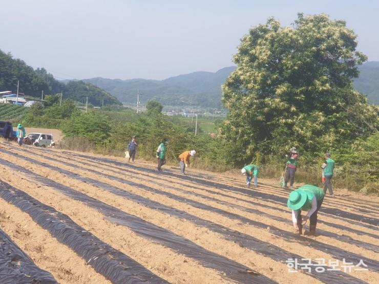 기사 사진