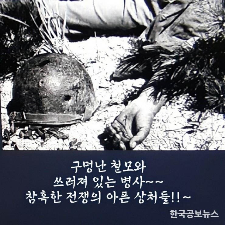 기사이미지 https://kpnnews.cdn.ntruss.com/202406210837501718969870583