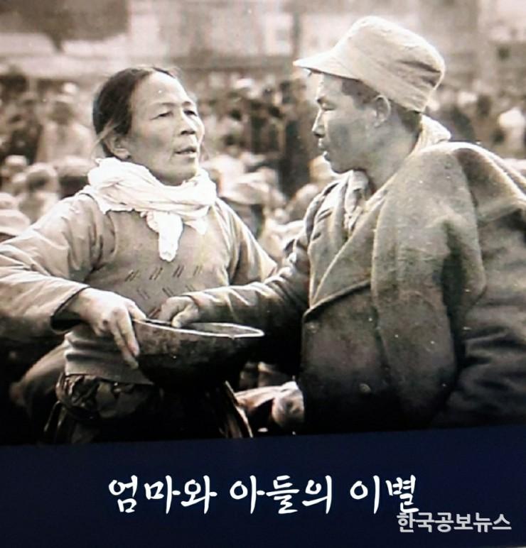 기사이미지 https://kpnnews.cdn.ntruss.com/202406210837511718969871501