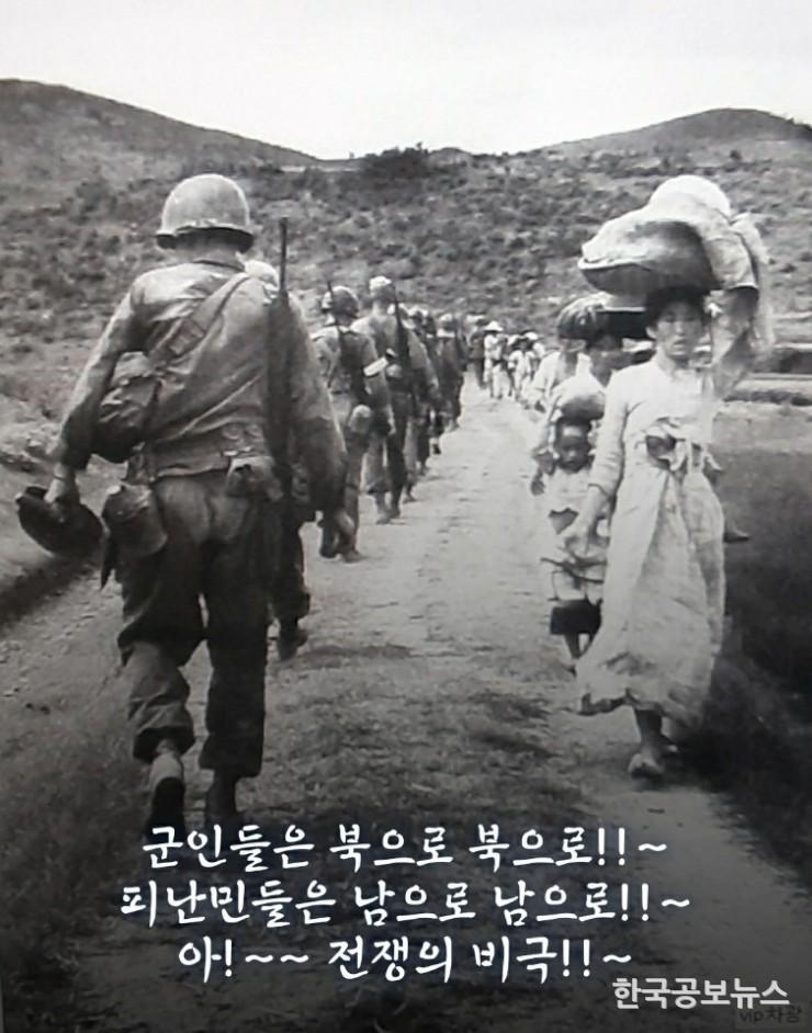 기사이미지 https://kpnnews.cdn.ntruss.com/202406210837531718969873093
