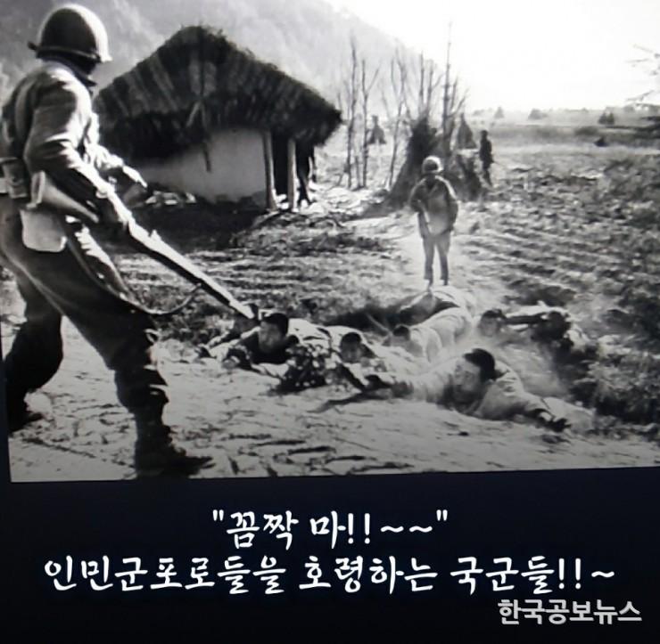 기사이미지 https://kpnnews.cdn.ntruss.com/202406210837531718969873821