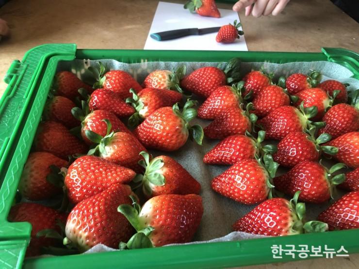 기사 사진