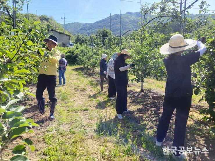 기사 사진