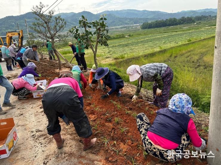 기사 사진