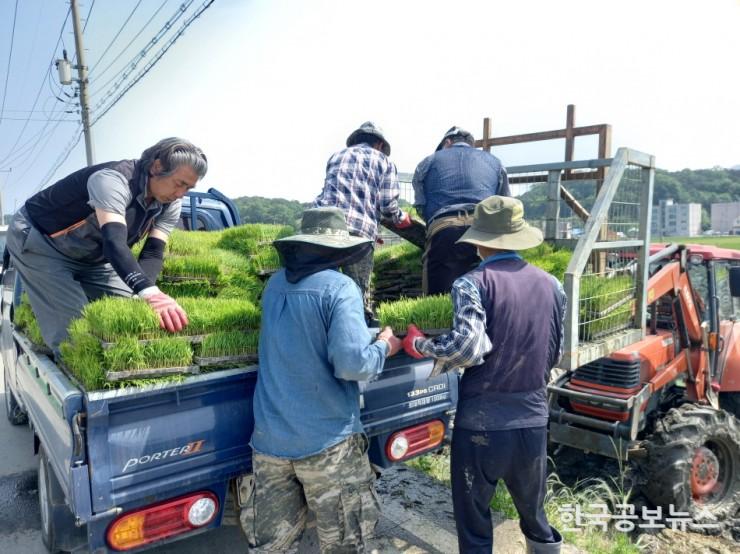 기사 사진