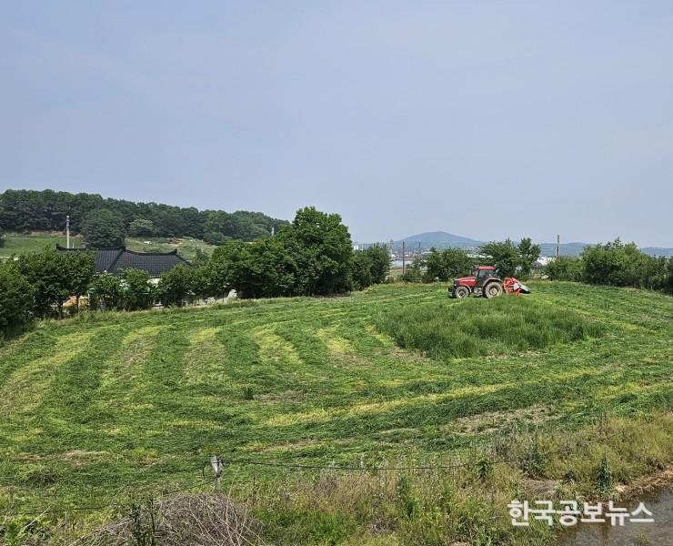 기사 사진