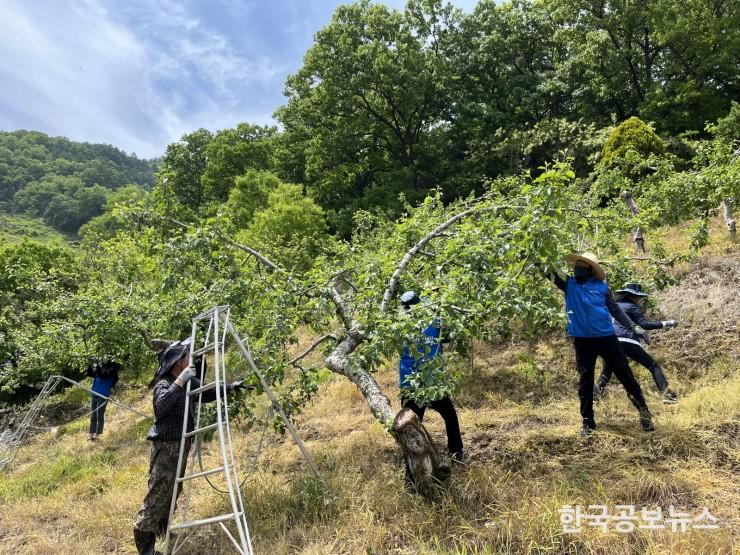 기사 사진