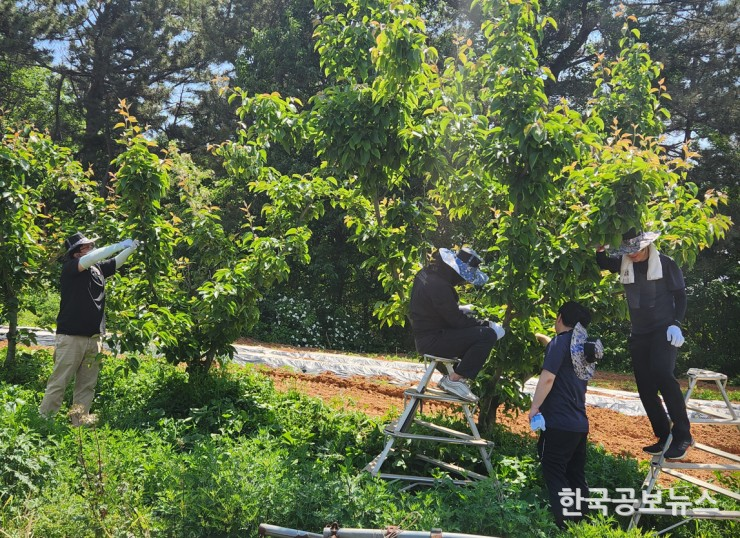 기사 사진