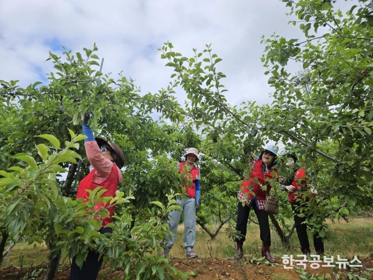 기사 사진